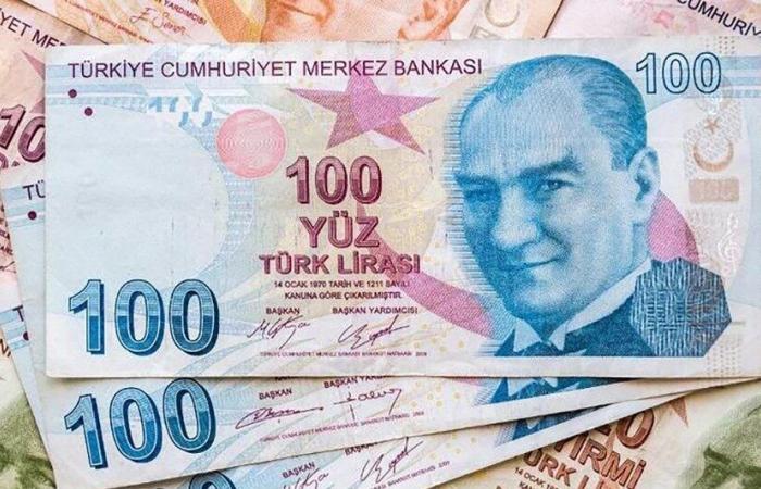 الليرة التركية تبدأ العام الجديد بهبوط قياسي أمام اليورو