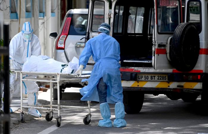 الهند تسجل أول وفاة بين البشر بسبب إنفلونزا الطيور