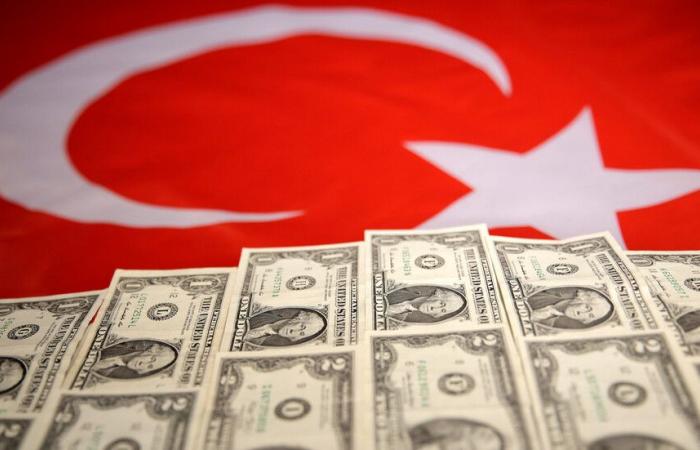 أكثر 20 دولة استثمارا في تركيا