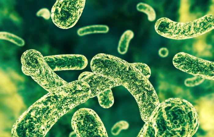 صدق أو لا تصدق.. فيروس جديد قد يحمي الإنسان من البكتيريا