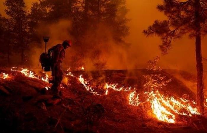 مزيج خطير.. دخان حرائق الغابات مرتبط بزيادة حالات كورونا