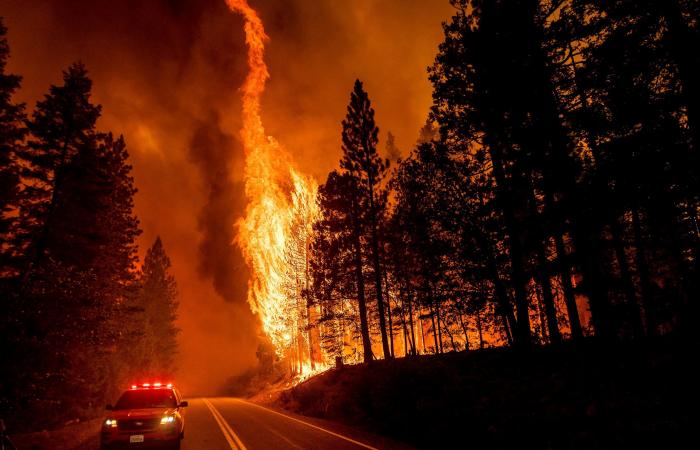 مزيج خطير.. دخان حرائق الغابات مرتبط بزيادة حالات كورونا