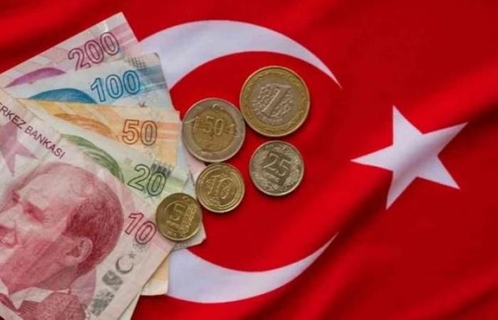 أردوغان يأمر بإجراء تحقيق في تراجع الليرة التركية