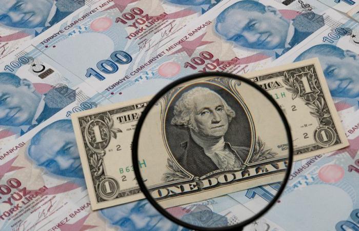 الليرة التركية تهوي إلى 16 مقابل الدولار