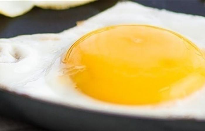 دراسة تحث على تناول بيضة يومياً.. اليكم الاسباب