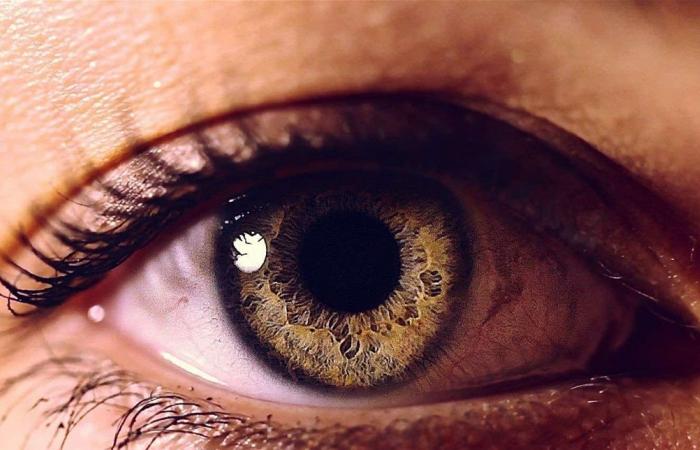 6 مخاطر تُهدّد العين في حال ارتفاع ضغط الدم... ما هي؟