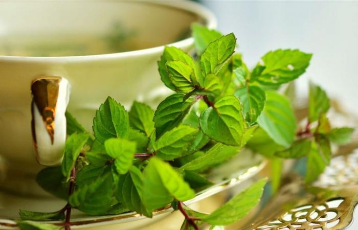 دراسة تكشف أفضل أنواع الشاي لمرضى السرطان