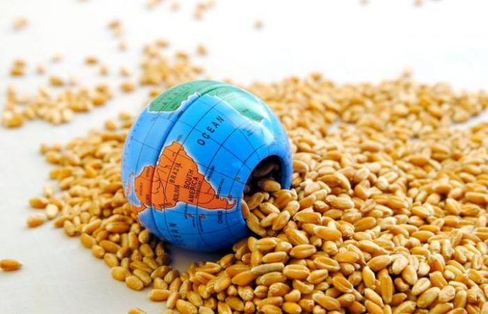 لبنان يستورد 35 ألف طن من القمح من أوكرانيا وروسيا