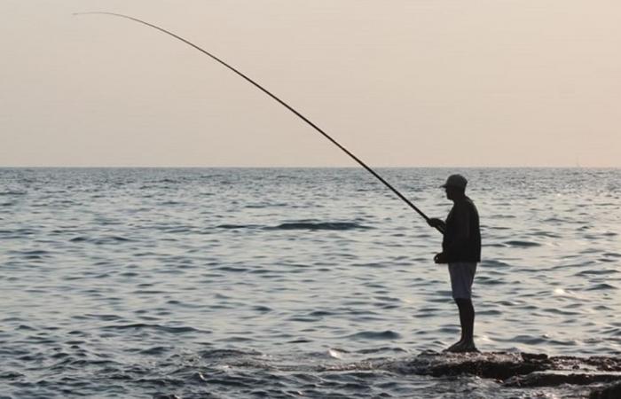 وزير الزراعة: لتطبيق القوانين المرعية الإجراء في عمليات صيد الأسماك