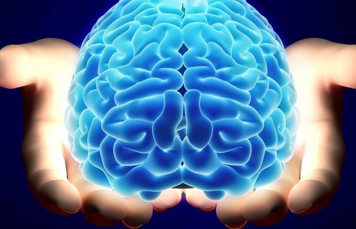 الدماغ يتكيف... هكذا يمكن تدريبه لتعزيز الإدراك والصحة النفسية