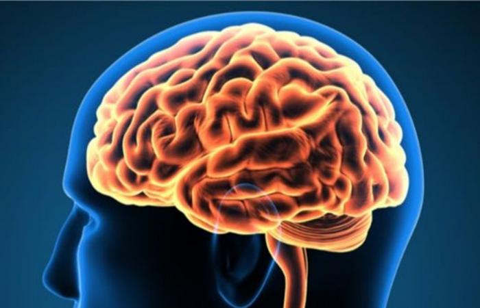 الدوبامين الذكي.. دراسة تكشف طرق استجابته وتكيفه مع الظروف المحيطة