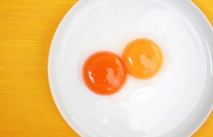 أيهما أفضل لصحتك.. صفار البيض البرتقالي أم الأصفر؟