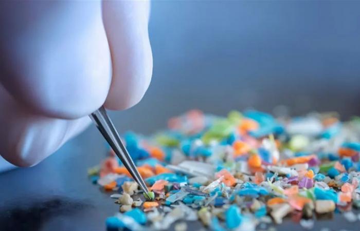 هل يسبب بلاستيك تغليف الطعام أمراض القلب؟