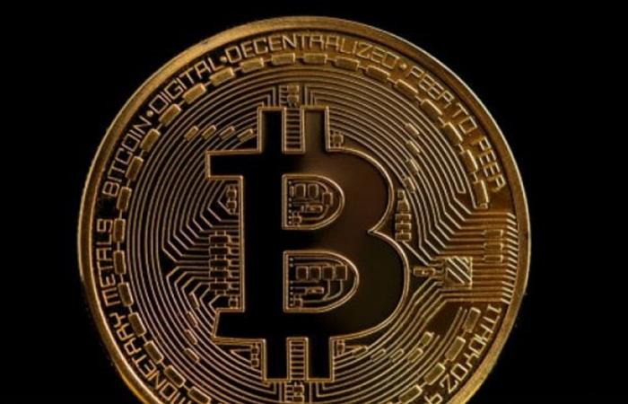 امرأة ترمي ثروة بيتكوين بقيمة 3.8 مليون دولار في القمامة!