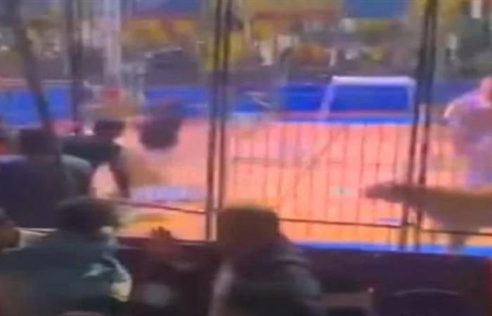 صراخ وتدافع.. أسد يُهاجم مدربه خلال عرض سيرك في مصر وما حصل مرعب (فيديو)