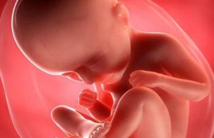 النظام الغذائي الصحي في الحمل يعزز ذكاء الطفل