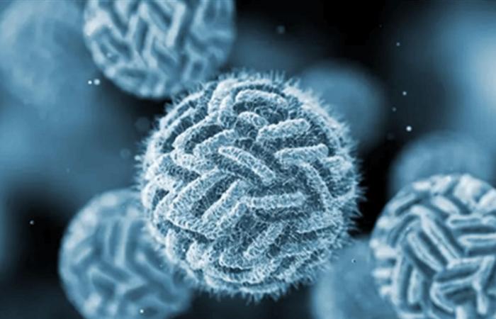 شبح "الوباء الصامت" يخيم على الخرطوم.. والصحة تحذر