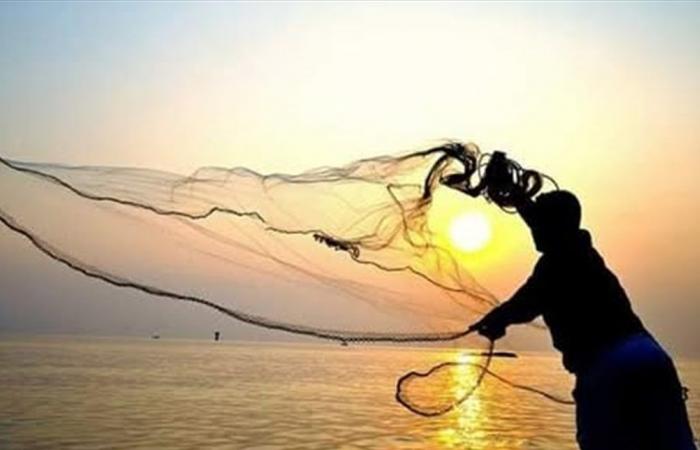 بدلاً من الأسماك... أكثر من 200 أفعى سامة تعلق في شباك صياد! (فيديو)