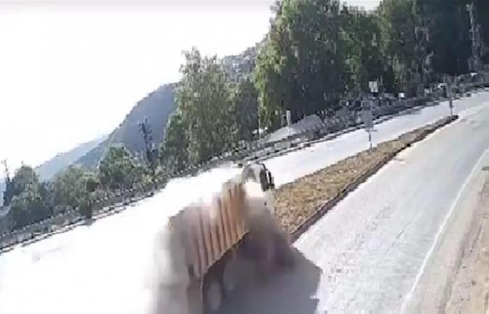 بالفيديو... عطل في الفرامل يتسبب بكارثة في تركيا