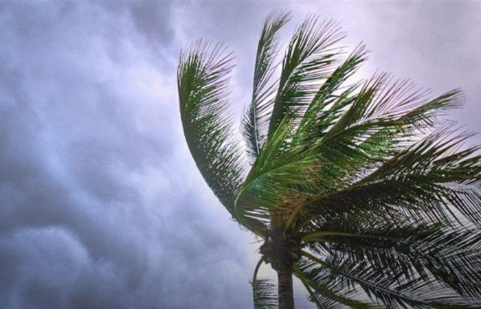 هذا ما فعلته الرياح القوية في عكار