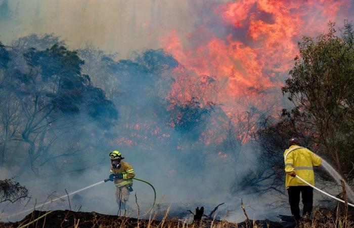 بسبب الحرائق.. إخلاء مستوطنات بين القدس وتل أبيب (فيديو)