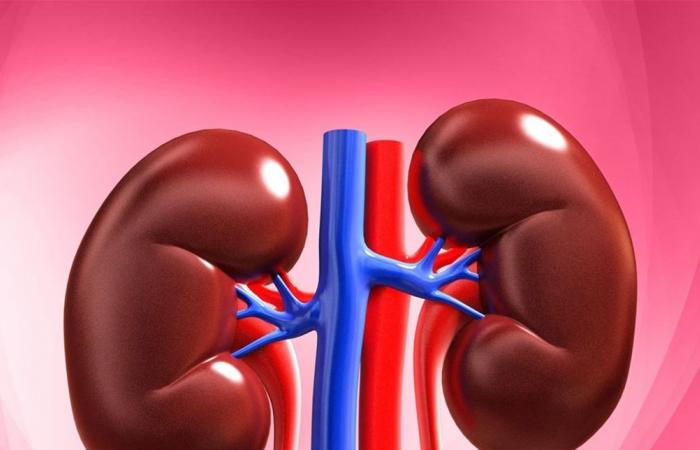 عادات يومية شائعة قد تضر بكليتيك