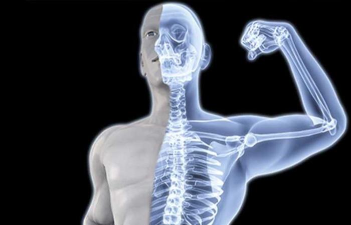 أطعمة صحية لتقوية عظامك