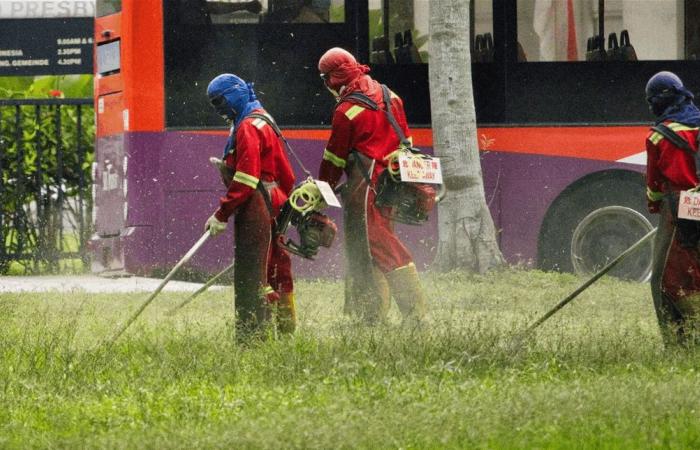 المبيدات لم تعد تقوى على الحشرات!