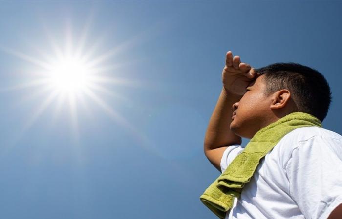 4 أسباب تجعلك لا تفوّت ضوء الشمس يوميًا