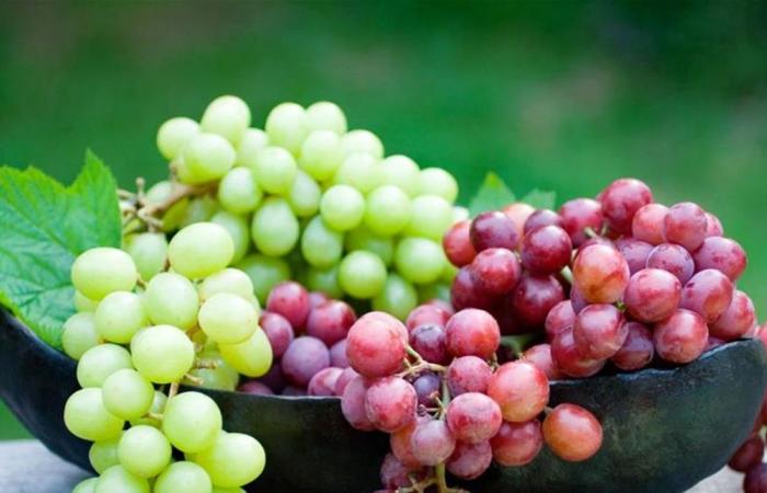 فوائد العنب.. كنز طبيعي لصحتك