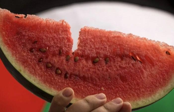 تحذير.. خطأ يجعل البطيخ ضاراً للصحة