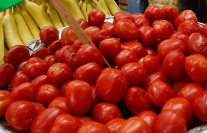 لماذا يجب أن نأكل البندورة يومياً؟