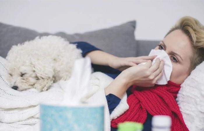 دولة عربية تسجل أول إصابة بـ "حمى كيو".. خطر كبير على البشر والنساء خاصة!