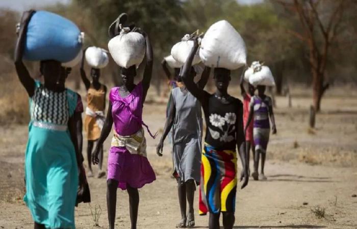 تنسيقية النازحين في دارفور: للضغط على طرفي الصراع