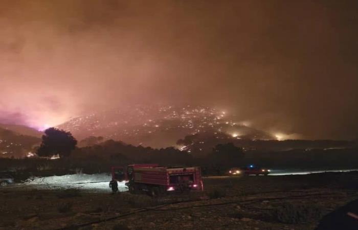 بالفيديو: حرائق غابات هائلة تهدد سكان ولاية جزائرية