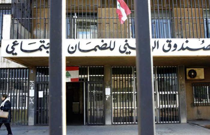 الضمان: تحصيلات 2025 تجاوزت 310 مليارات ل.ل.