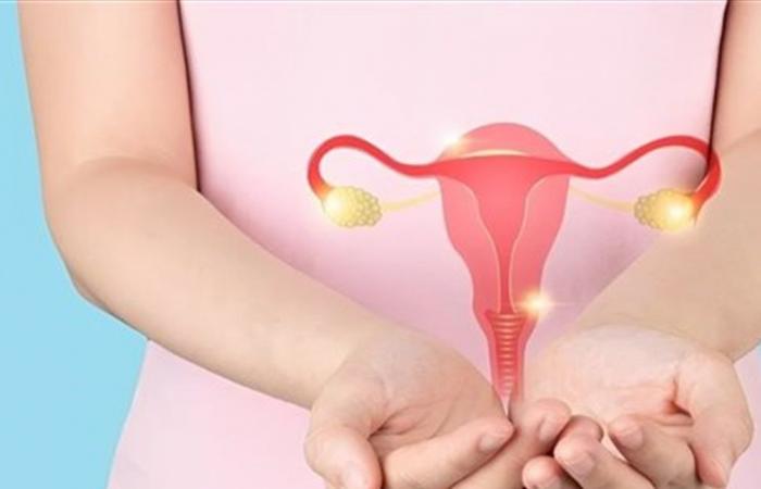 ما الفرق بين تكيس المبايض PCO ومتلازمة المبيض المتعدد الكيسات PCOS؟