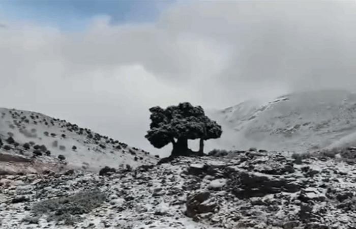 بالفيديو.. الثلوج وصلت إلى لبنان