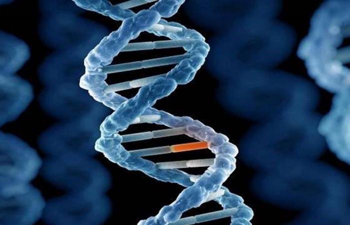 في دراسة جديدة... اكتشاف صلة بين طفرات بروتينية وأمراض تهدد الحياة!