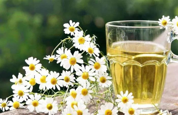 عشبة شهيرة تخفض ضغط الدم وتساعد على النوم.. ما هي؟