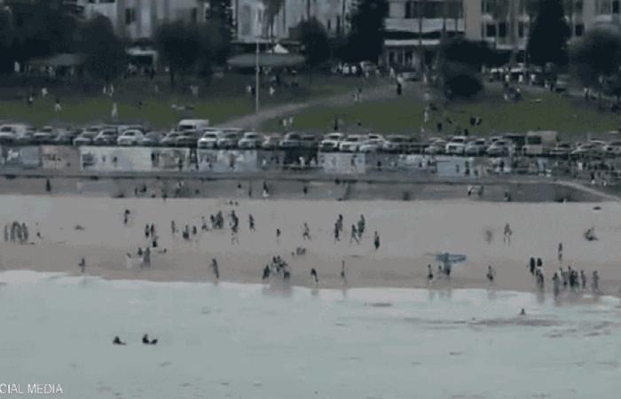 هجوم سيدني هو الردّ على اغتيال طبطبائي؟