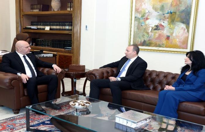 عون يزوّد سفيري لبنان في نيجيريا والأرجنتين بتوجيهاته