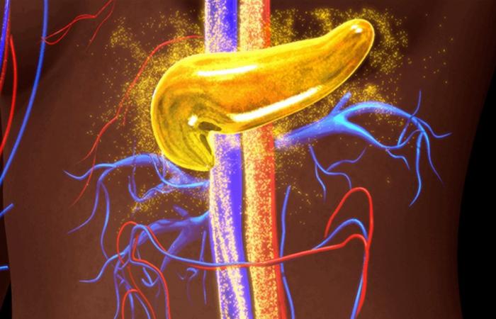 اكتشاف ثوري: حماية خلايا السكري من النوع الأول