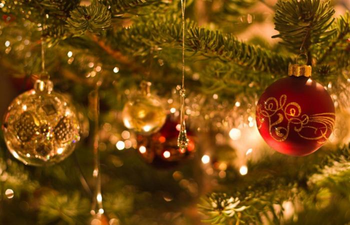 زخم سياحي واقتصادي لافت خلال موسم الأعياد