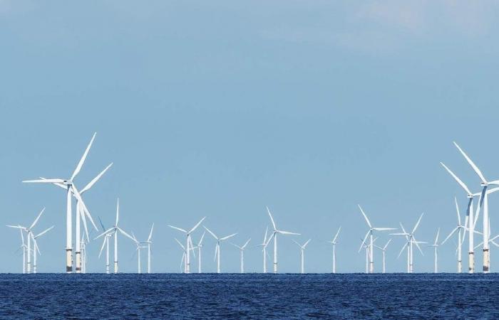 إدارة ترامب تعلّق مشاريع طاقة الرياح البحرية