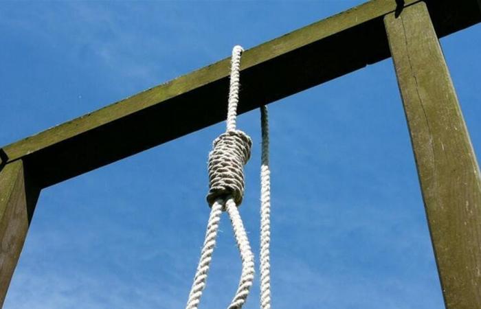 جريمة قتل بسبب العمل في مصر تُسفر عن حكم الإعدام شنقًا