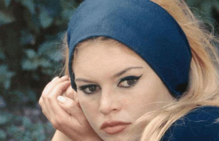 وفاة بريجيت باردو عن 91 عاما.. أيقونة فرنسية تطوي صفحة استثنائية