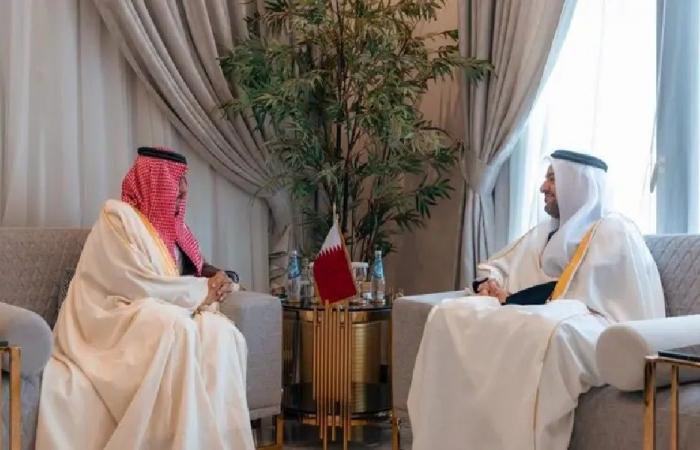 الفرحان ومسؤول قطري يبحثان أوضاع لبنان في الدوحة