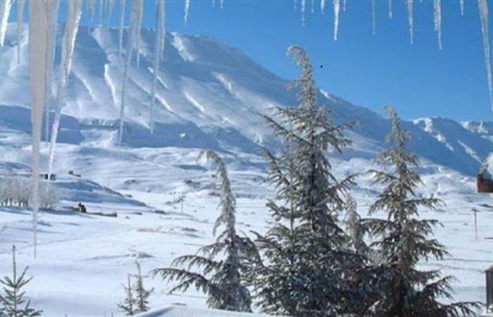 عالقون بالثلوج… والدفاع المدني ينقذهم