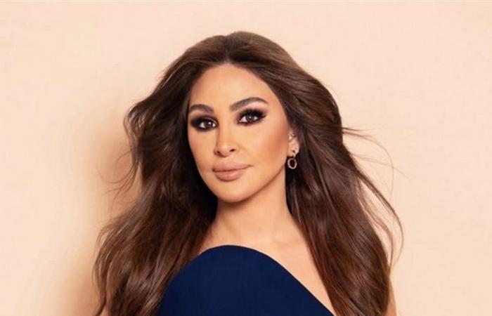 "هيدي إطلالة راس السنة؟".. إليسا تفاجئ الجمهور بحفلها في مصر وتتعرّض للانتقادات (فيديو)